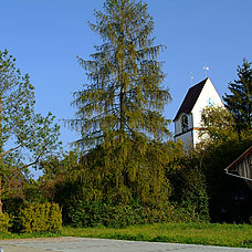 Blick auf die Kirche in Fehraltorf.